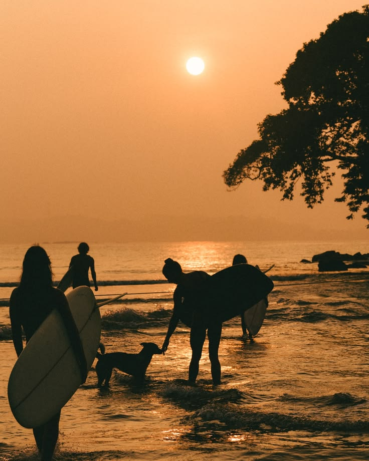 Surfers walking into the water at sunset